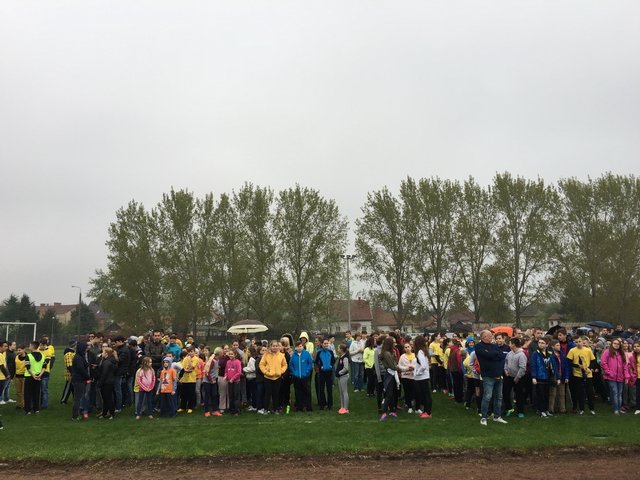 Nárcisz futás 2017 06